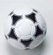 全球体坛十,大魅力之星,米兰体育,米兰体育平台,米兰体育官方网站,米兰体育登录入口,米兰体育app下载