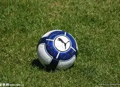 全运会足球,赛成绩公布,揭晓新一代,米兰体育平台,米兰体育官方网站,米兰体育登录入口,米兰体育app下载