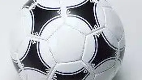 全球体坛十大魅力之星